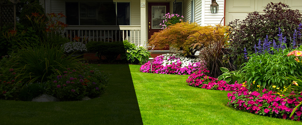 Silver Springs Landscapers